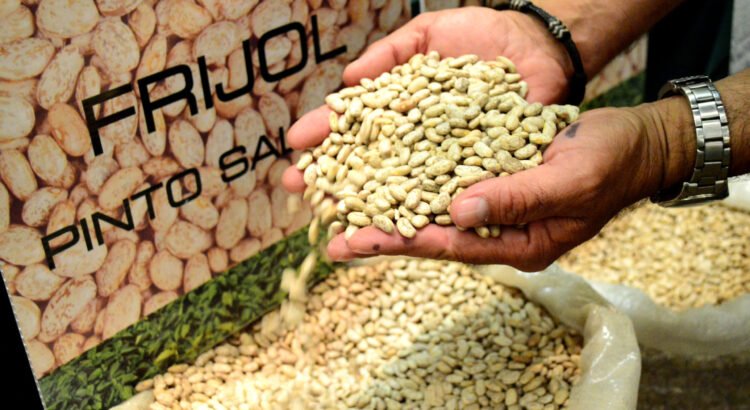 Productores critican esquema de acopio de frijol en Durango, Zacatecas y Chihuahua Productores critican esquema de acopio de frijol en Durango, Zacatecas y Chihuahua