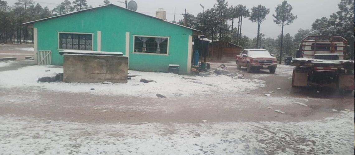 Habitantes registran caída de nieve que cubrió de blanco el suelo en Durango
