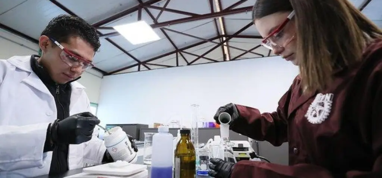 Estudiantes mexicanos desarrollan plástico capaz de diluirse en el agua y ayudar a purificarla