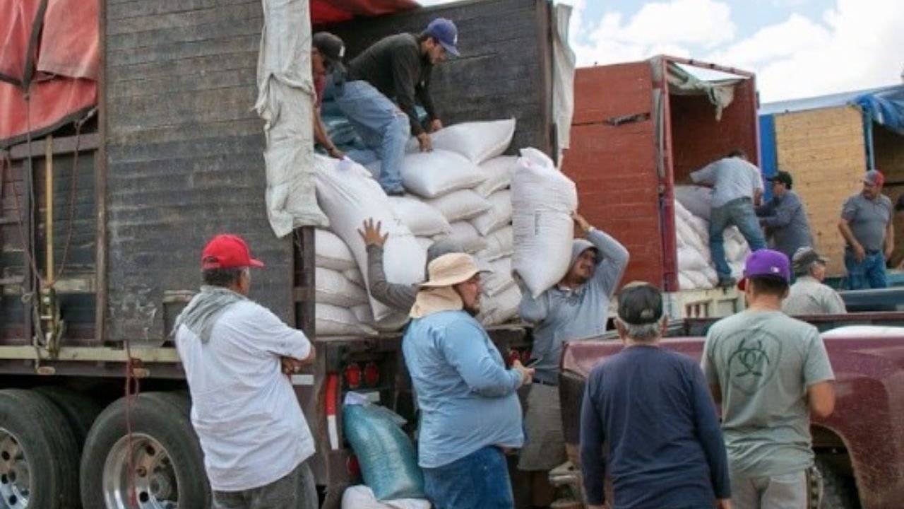 Amplían acopio de frijol en Durango; garantizan precio de 27 pesos hasta el 30 de abril